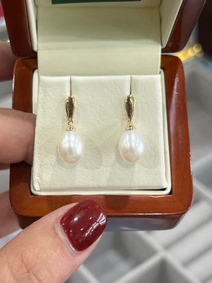 Pearl Earrings in 9ct Yellow Gold