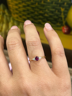 Garnet and Diamond Ring in 9ct Yellow Gold
