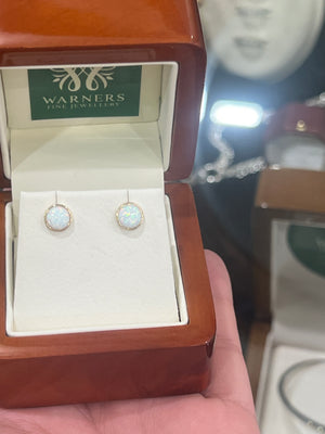 Opal Stud Earrings in 9ct Yellow Gold