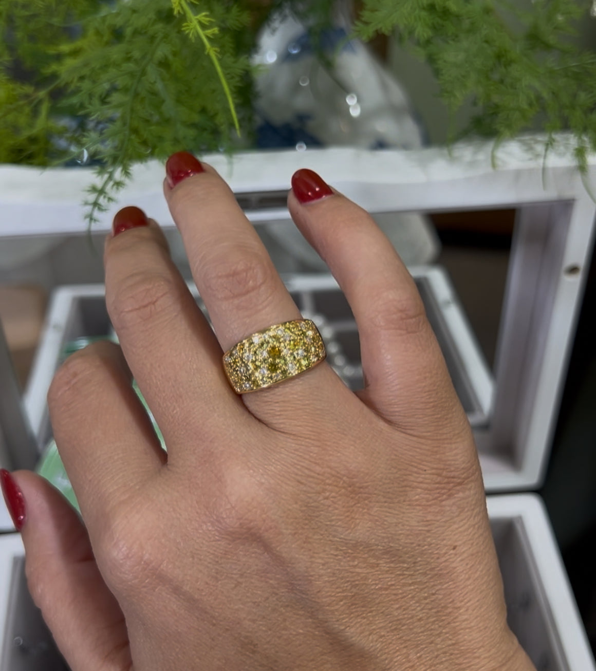 Yellow and Parti Sapphire Ring in 18ct Yellow Gold